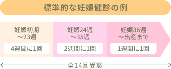 標準的な妊婦検診の例。妊娠初期～23週：4週間に1回、妊娠24週～35週：2週間に1回、妊娠36週～出産まで：1週間に1回、全14回受診