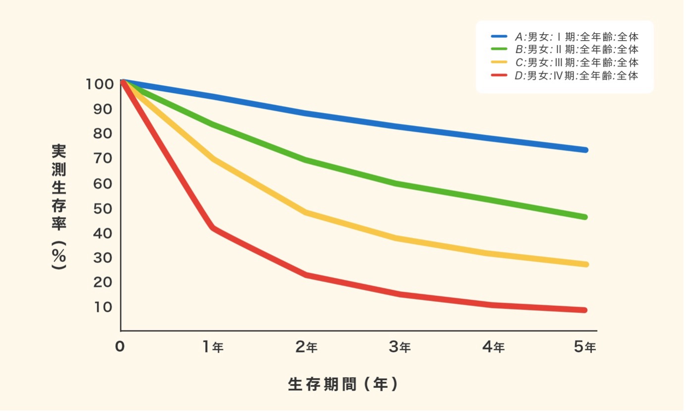 肺がんの実測生存率(%)と生存期間(年)の関係を病期別に示した折れ線グラフ。A:男女:I期:全年齢:全体(青線)、B:男女:II期:全年齢:全体(緑線)、C:男女:III期:全年齢:全体(黄線)、D:男女:IV期:全年齢:全体(赤線)の4本の線がある、すべての病期において、生存期間が長くなるにつれて実測生存率は低下している、生存率の低下幅は病期が進行するにつれて大きくなっている。