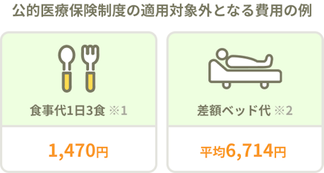公的医療保険制度の対象外となる費用の例