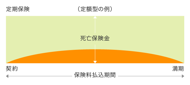 定期保険のイメージ図。定期保険は保障の期間が決められている保険です。