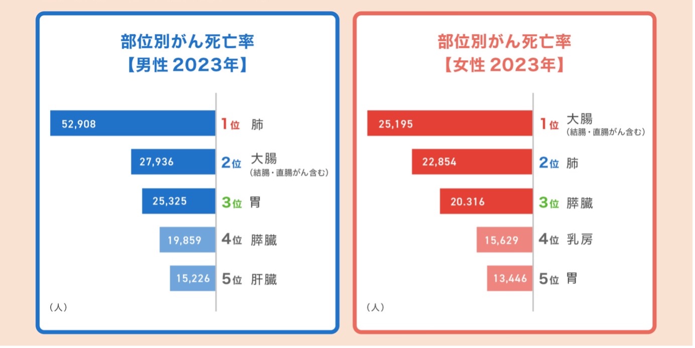 2023年の男性と女性の部位別がん死亡率の棒グラフ。男性:1位肺52,908人、2位大腸(結腸・直腸がん含む)27,936人、3位胃25,325人、4位膵臓19,859人、5位肝臓15,226人。女性:1位大腸(結腸・直腸がん含む)25,195人、2位肺22,854人、3位膵臓20,316人、4位乳房15,629人、5位胃13,446人。