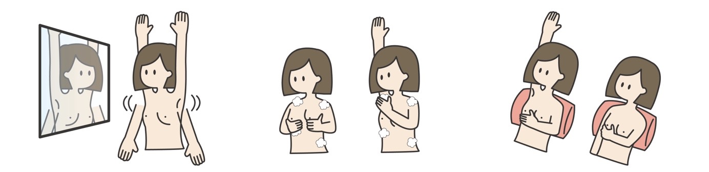女性が乳がんのセルフチェックを行う様子を描いた3枚のイラスト:1.左のイラスト:鏡の前に立ち両腕を上げた状態で鏡には上半身が映っている。 2.中央のイラスト:片方の乳房を指で触ってしこりなどを確認している女性と、腕を上げて脇の下を触って確認している女性の二つのポーズ。 3.右のイラスト:上向きに寝て片腕を上げた状態で片方の乳房から乳頭にかけてをもう一方の手で触って確認している女性と、腕を下げてもう一方の手で乳房全体から脇の下にかけて触って確認している女性の二つのポーズ。