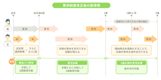 育体制度改正後の取得例