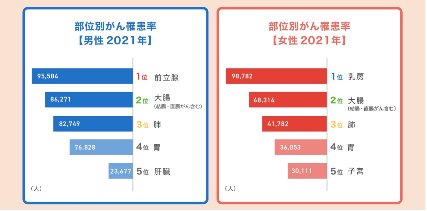 部位別がん罹患率の棒グラフ:男性2021年の罹患率順位は1位前立腺95,584人、2位大腸(結腸・直腸がんを含む)86,271人、3位肺82,749人、4位胃76,828人、5位肝臓23,677人:女性2021年の罹患率順位は1位乳房98,782人、2位大腸(結腸・直腸がんを含む)68,314人、3位肺41,782人、4位胃36,053人、5位子宮30,111人。