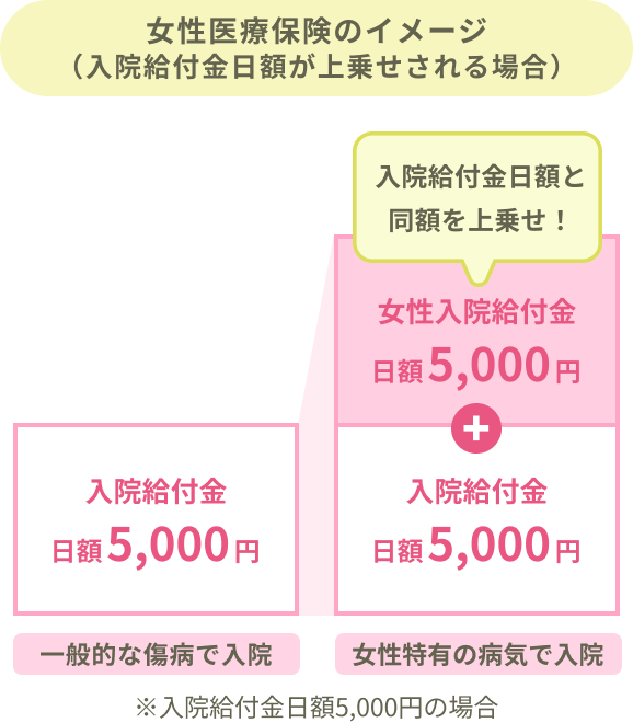 女性医療保険のイメージ（入院給付金日額が上乗せされる場合）